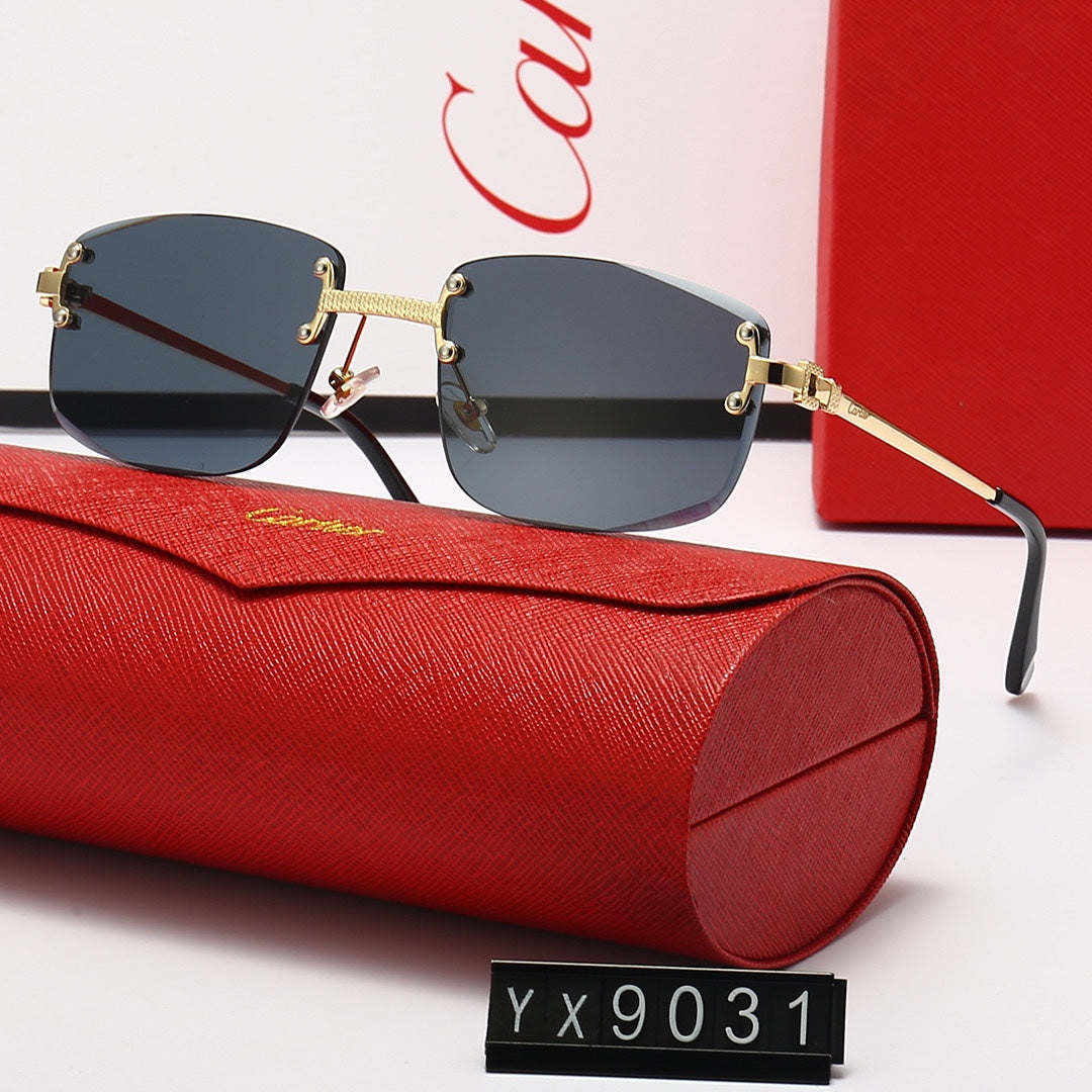 sunglasses / Model:C9031