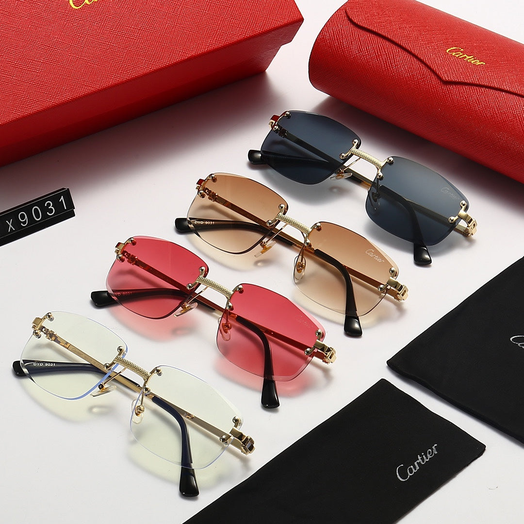 sunglasses / Model:C9031