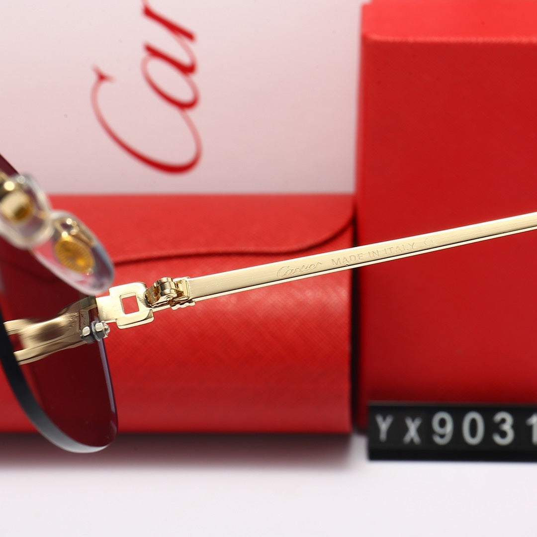sunglasses / Model:C9031