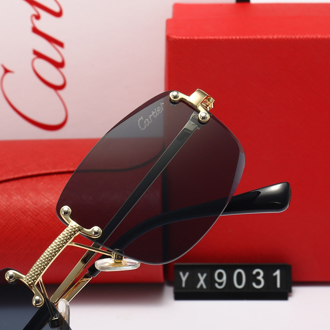 sunglasses / Model:C9031