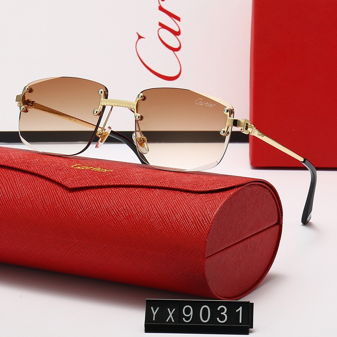 sunglasses / Model:C9031