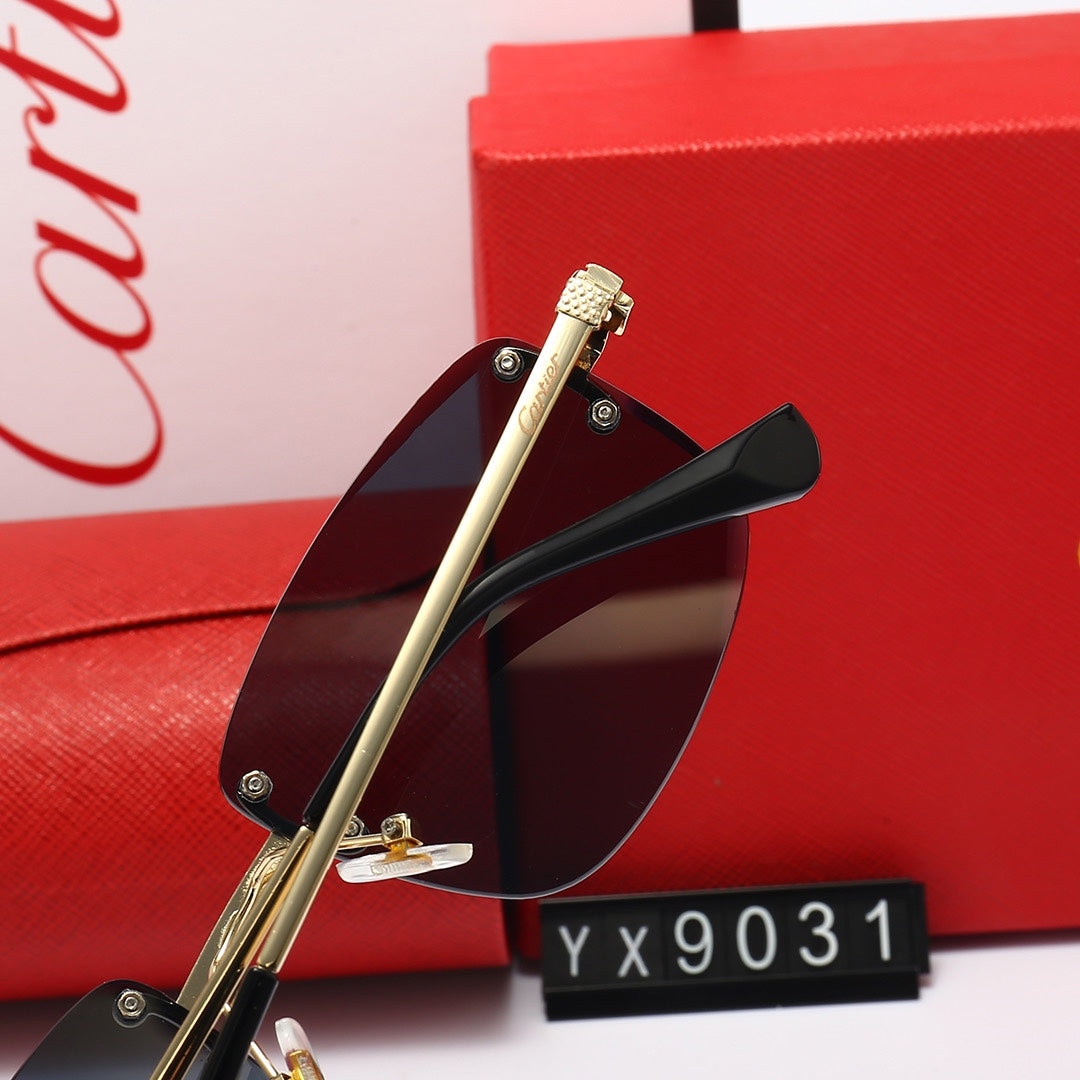 sunglasses / Model:C9031