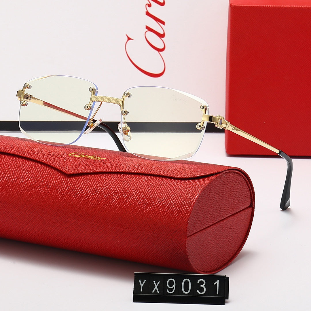 sunglasses / Model:C9031