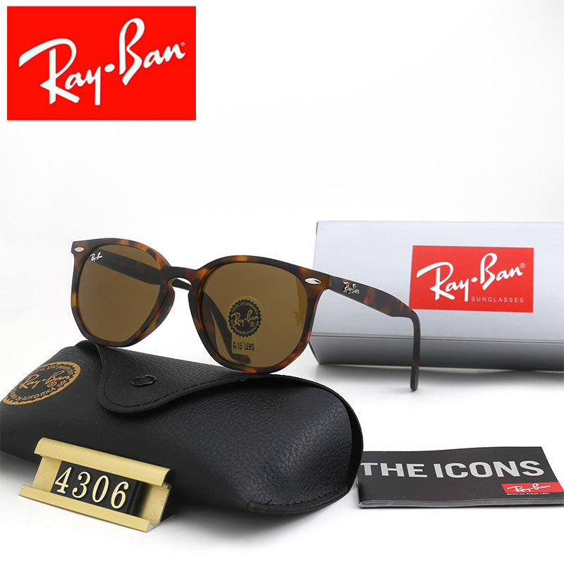sunglasses / Model:4306