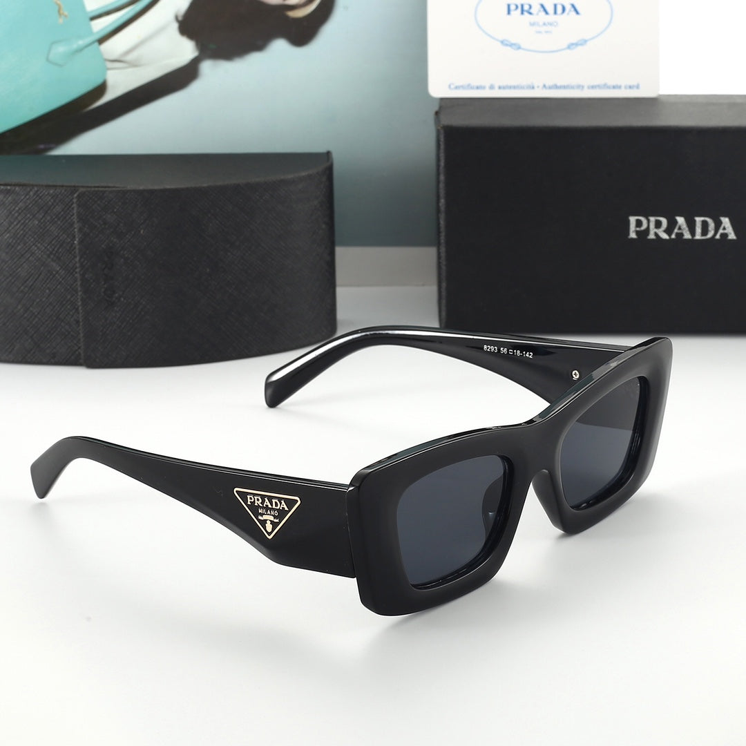 Sunglasses/model:6293
