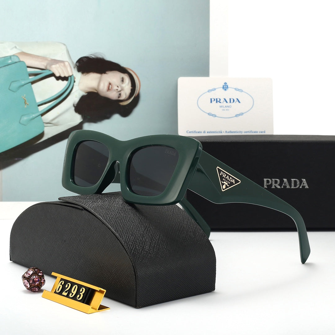 Sunglasses/model:6293