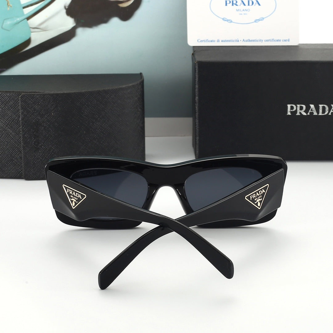 Sunglasses/model:6293