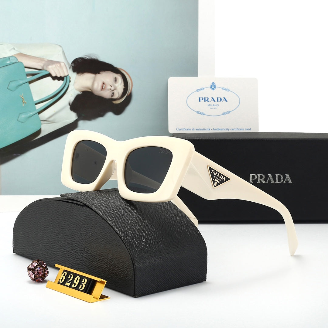 Sunglasses/model:6293