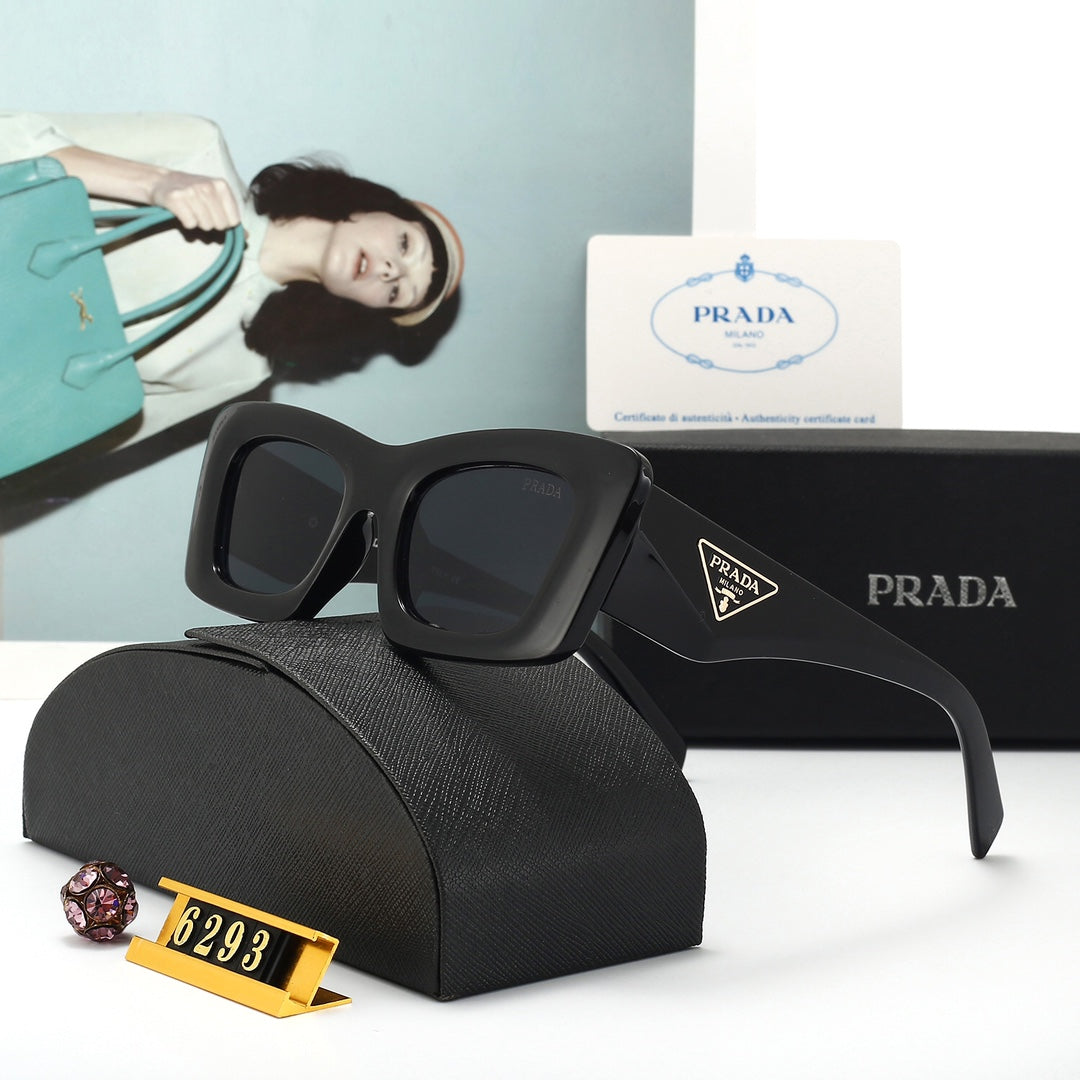 Sunglasses/model:6293