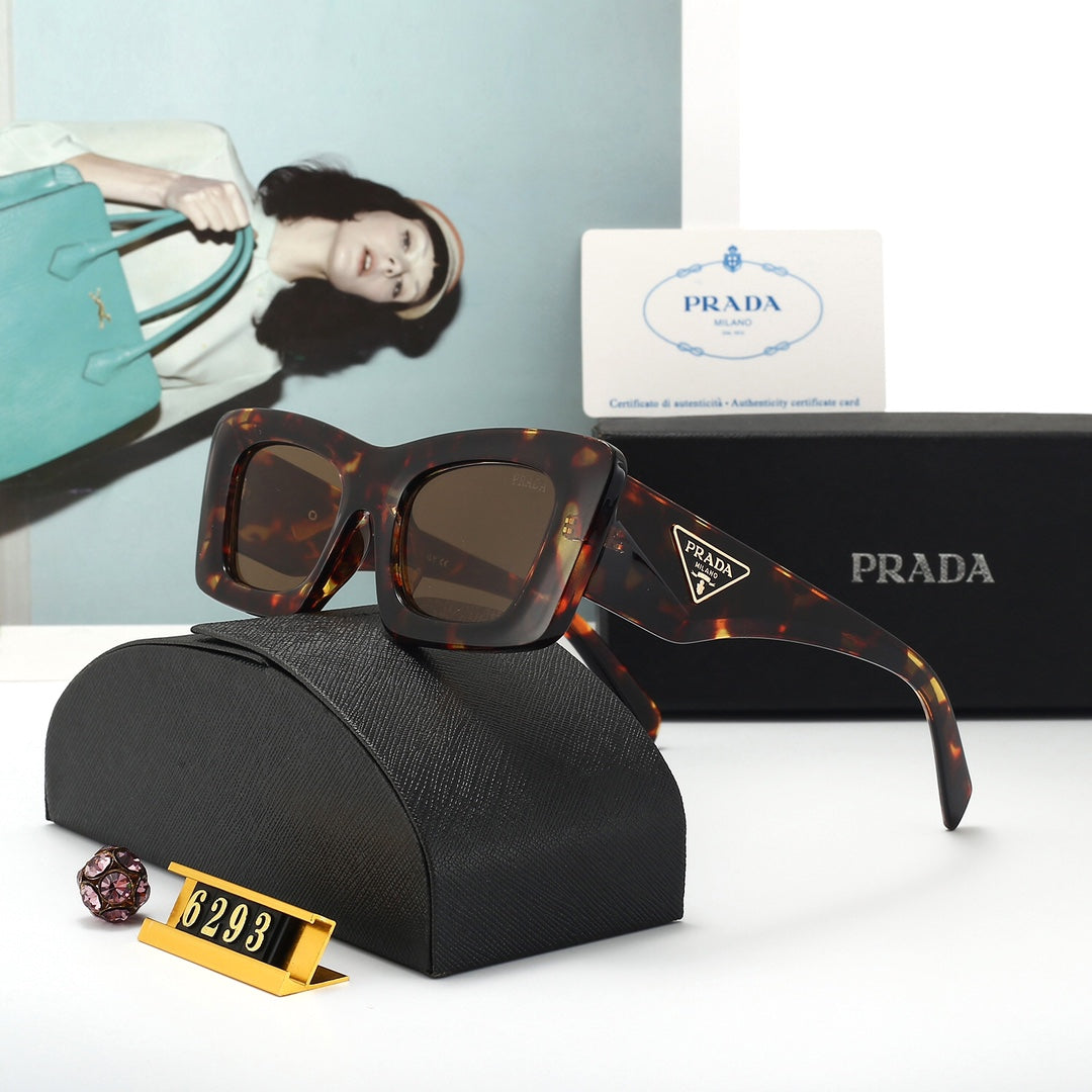 Sunglasses/model:6293