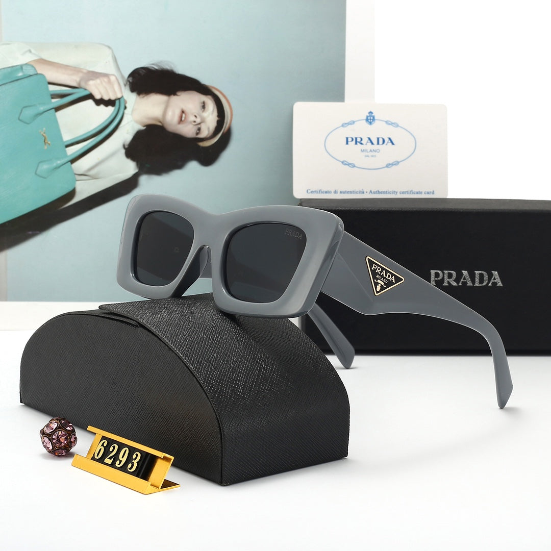 Sunglasses/model:6293