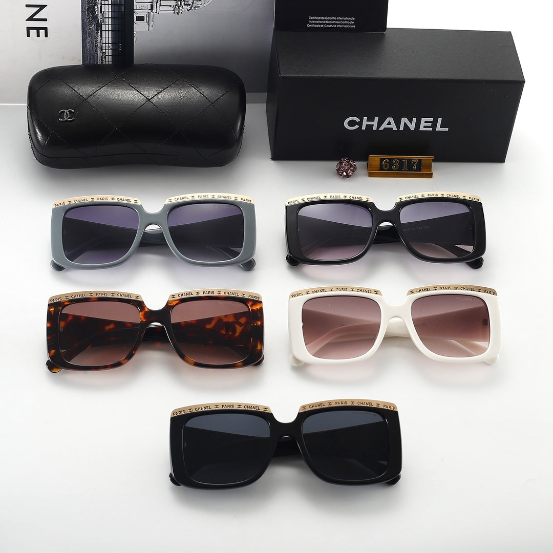 Sunglasses/model:6317