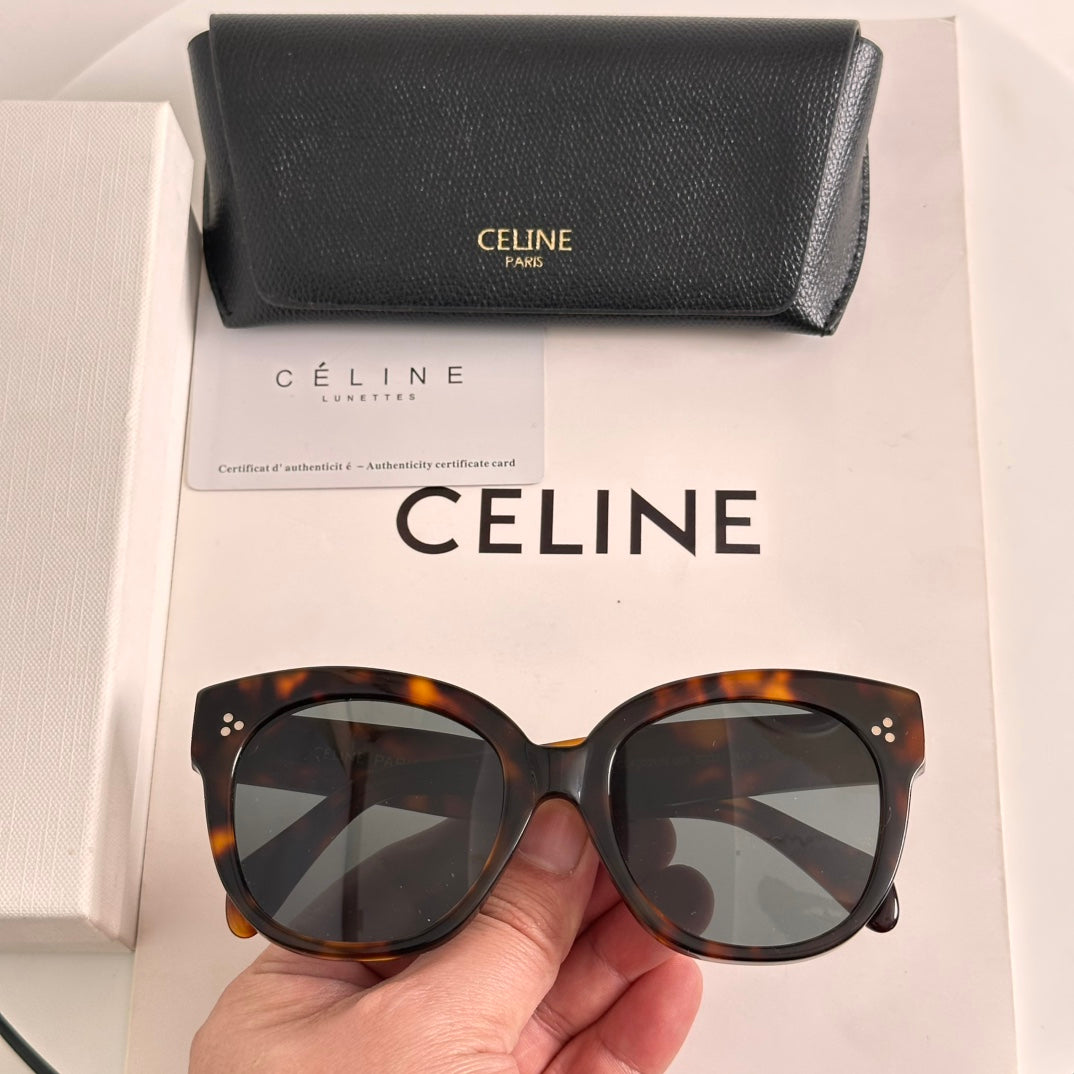 sunglasses/Quality: 5A/Model:CL4002