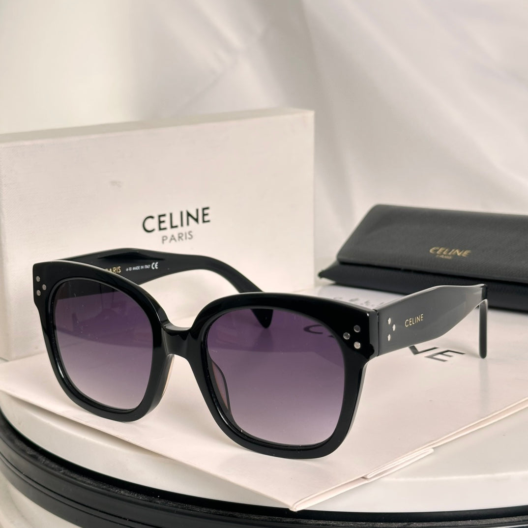 sunglasses/Quality: 5A/Model:CL4002