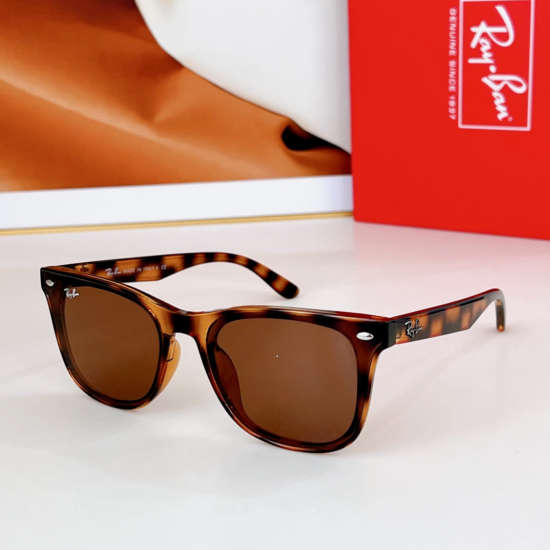 sunglasses/Quality: 5A/Model:RB4391