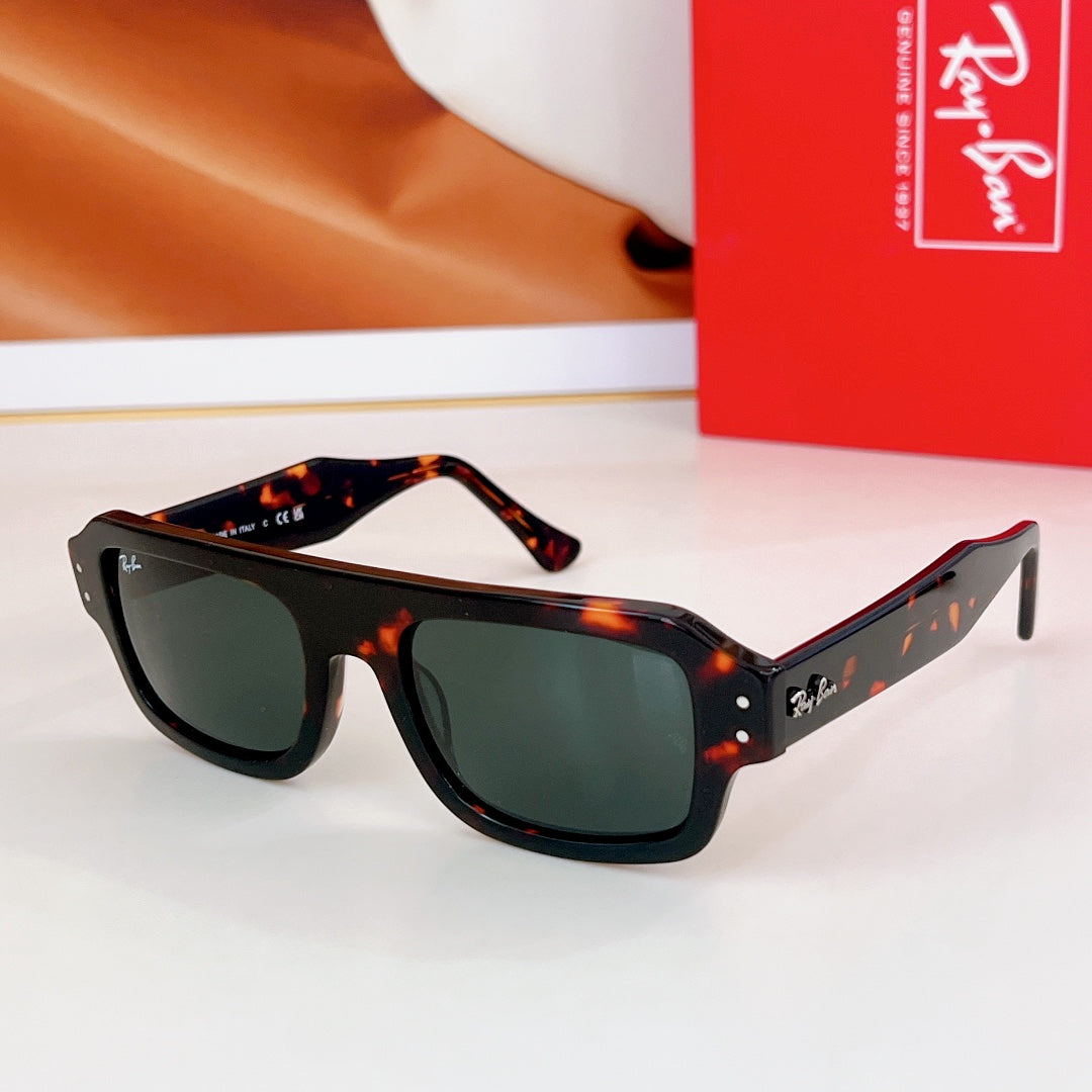 sunglasses/Quality: 5A/Model:RB4454