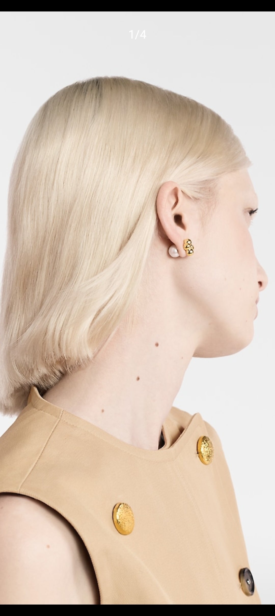 jewelry/earrings/model:338025