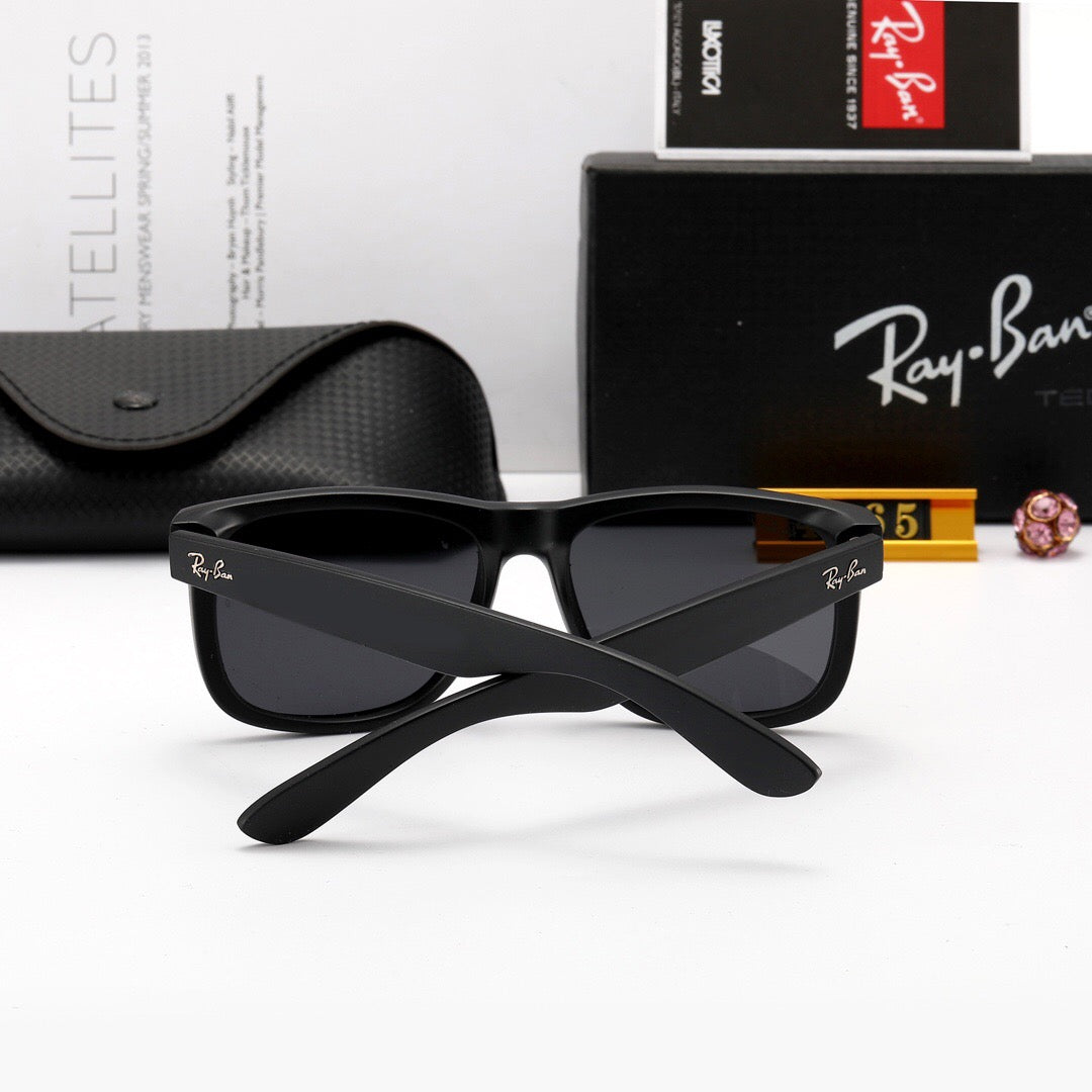 sunglasses / model:4165
