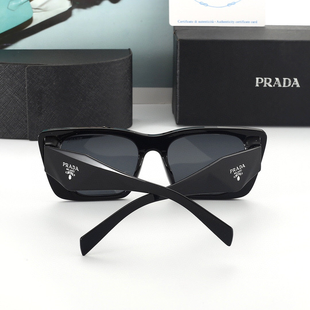 sunglasses / model:6295
