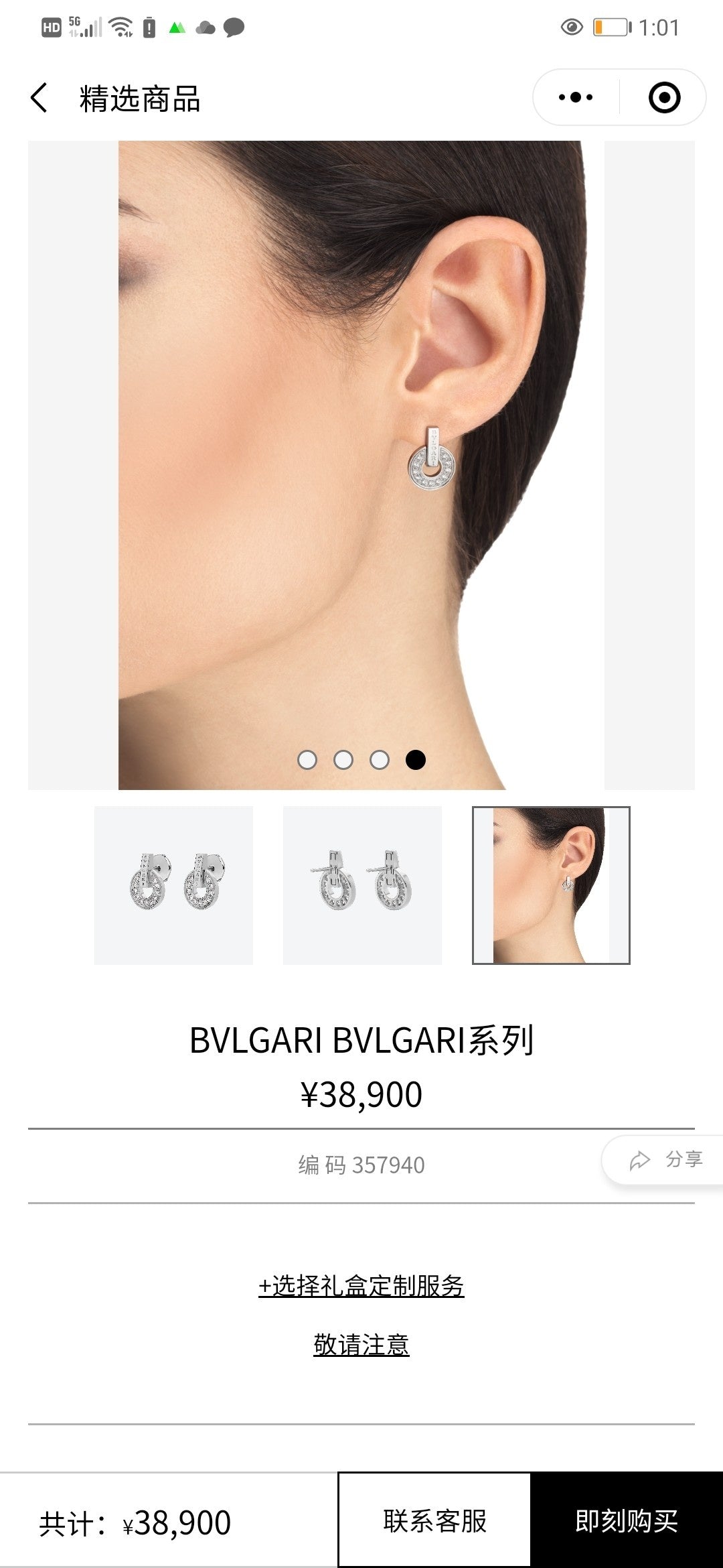 jewelry/earrings/model:346059