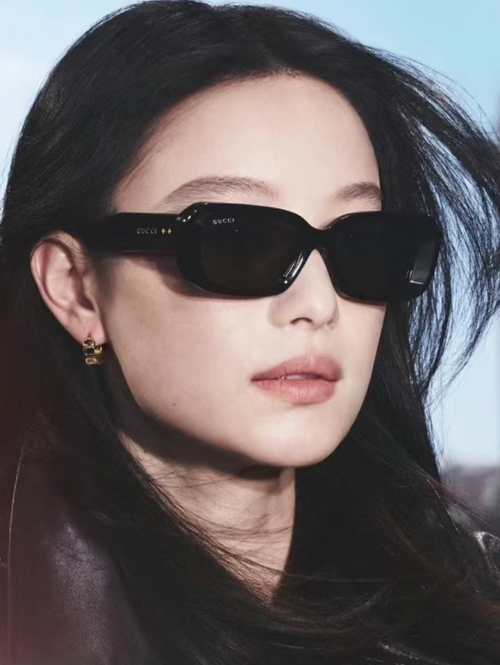 Sunglasses/model:2336