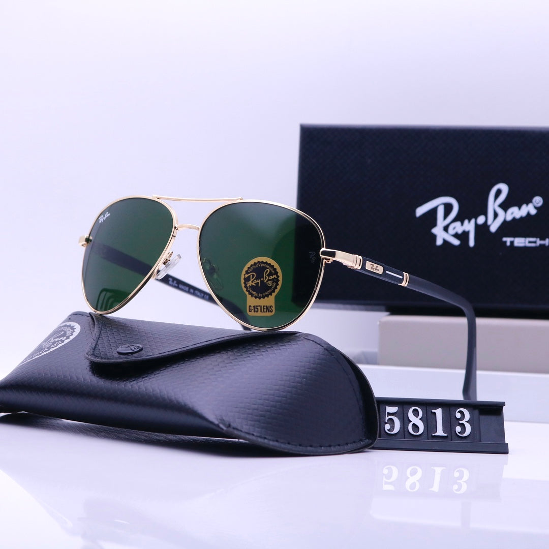sunglasses / Model:5813