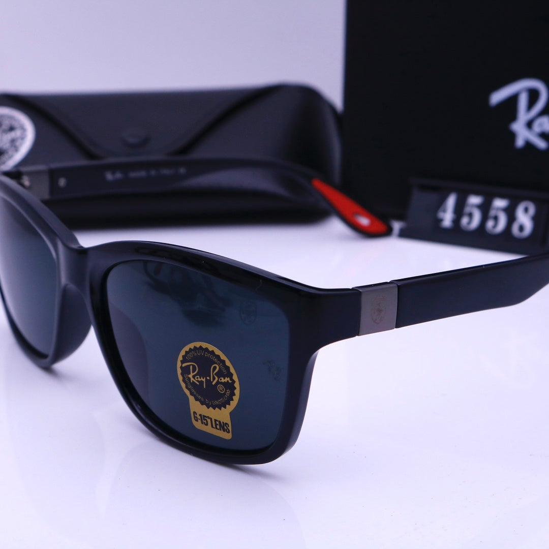 sunglasses / Model:4558