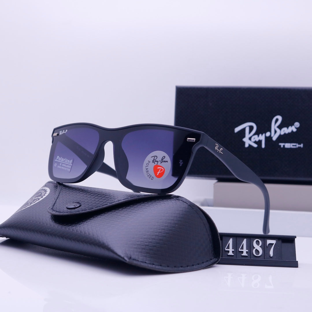 sunglasses / Model:4487