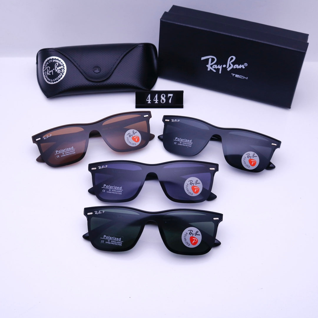 sunglasses / Model:4487