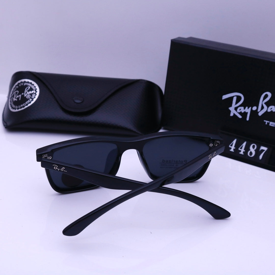 sunglasses / Model:4487