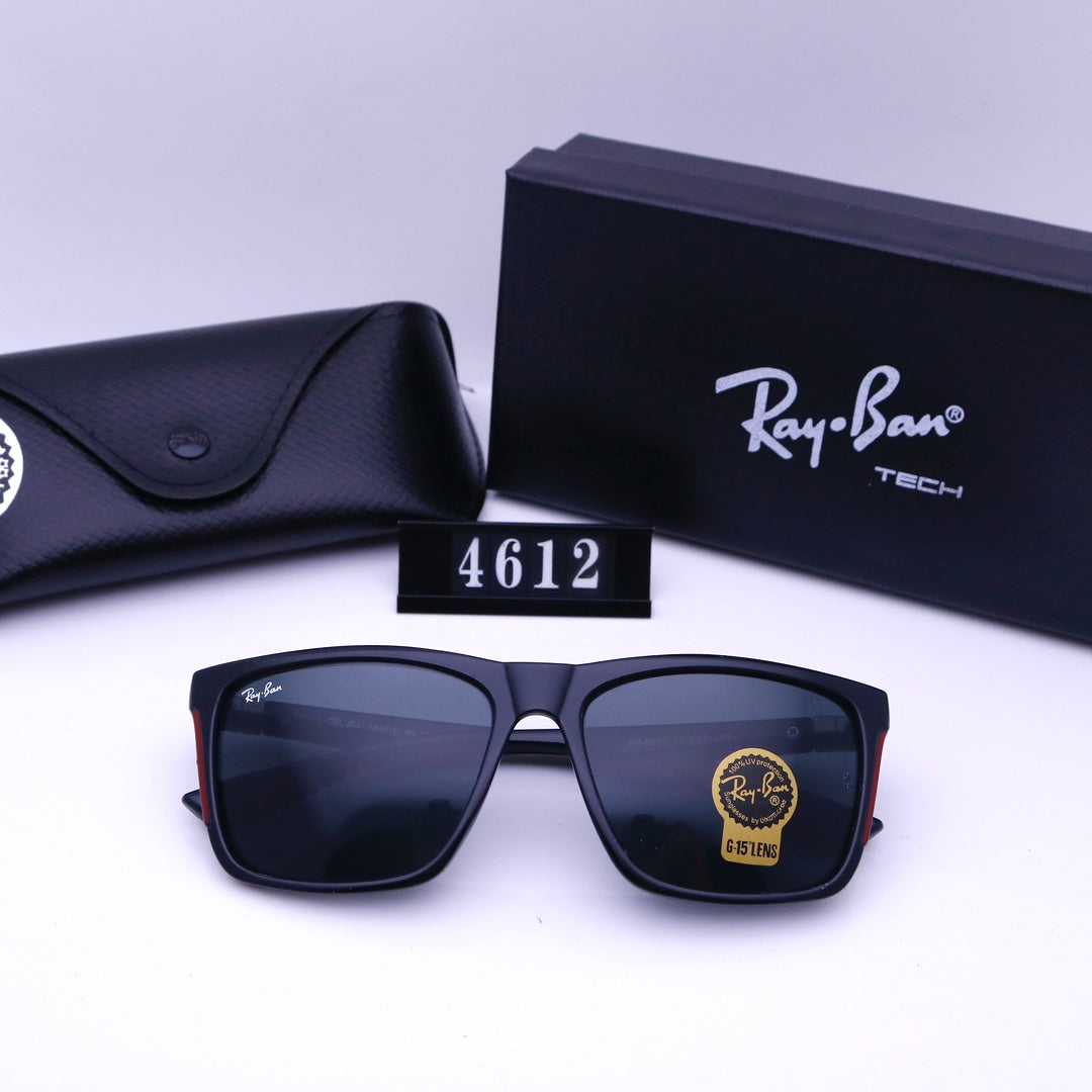 sunglasses / Model:4612