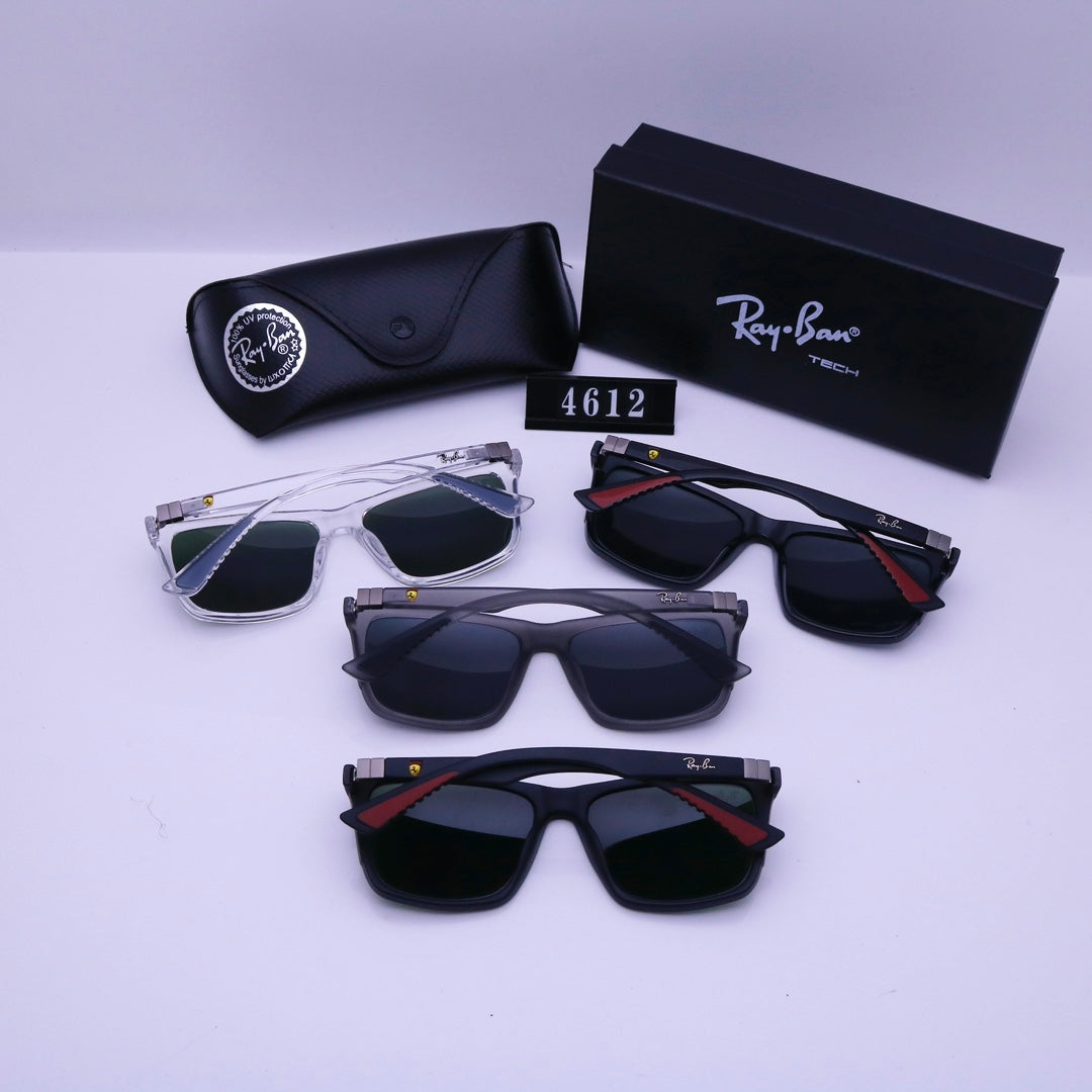 sunglasses / Model:4612