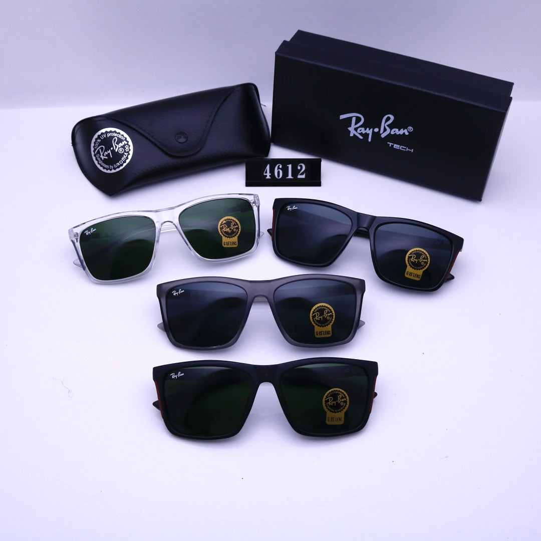 sunglasses / Model:4612