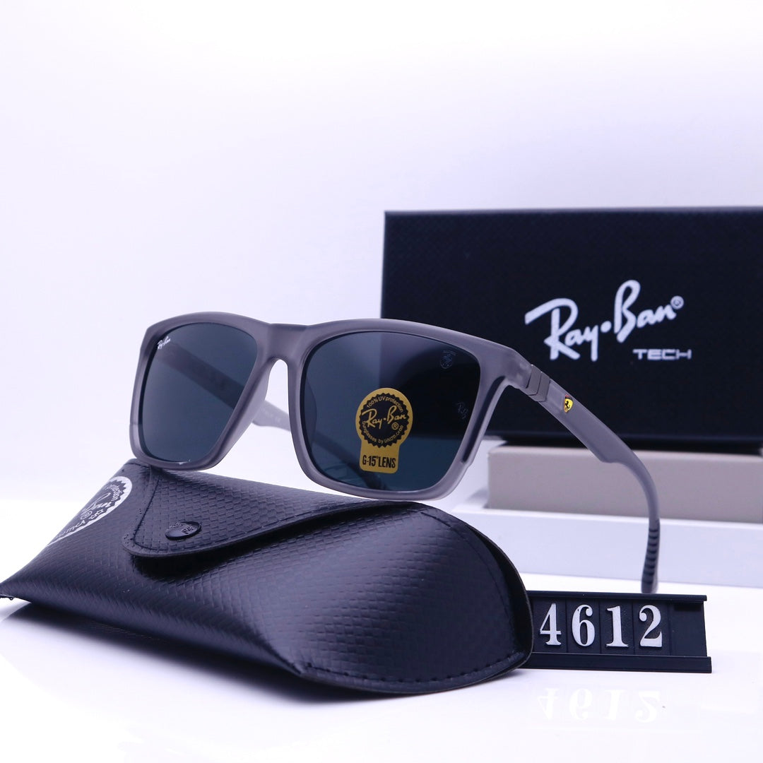 sunglasses / Model:4612