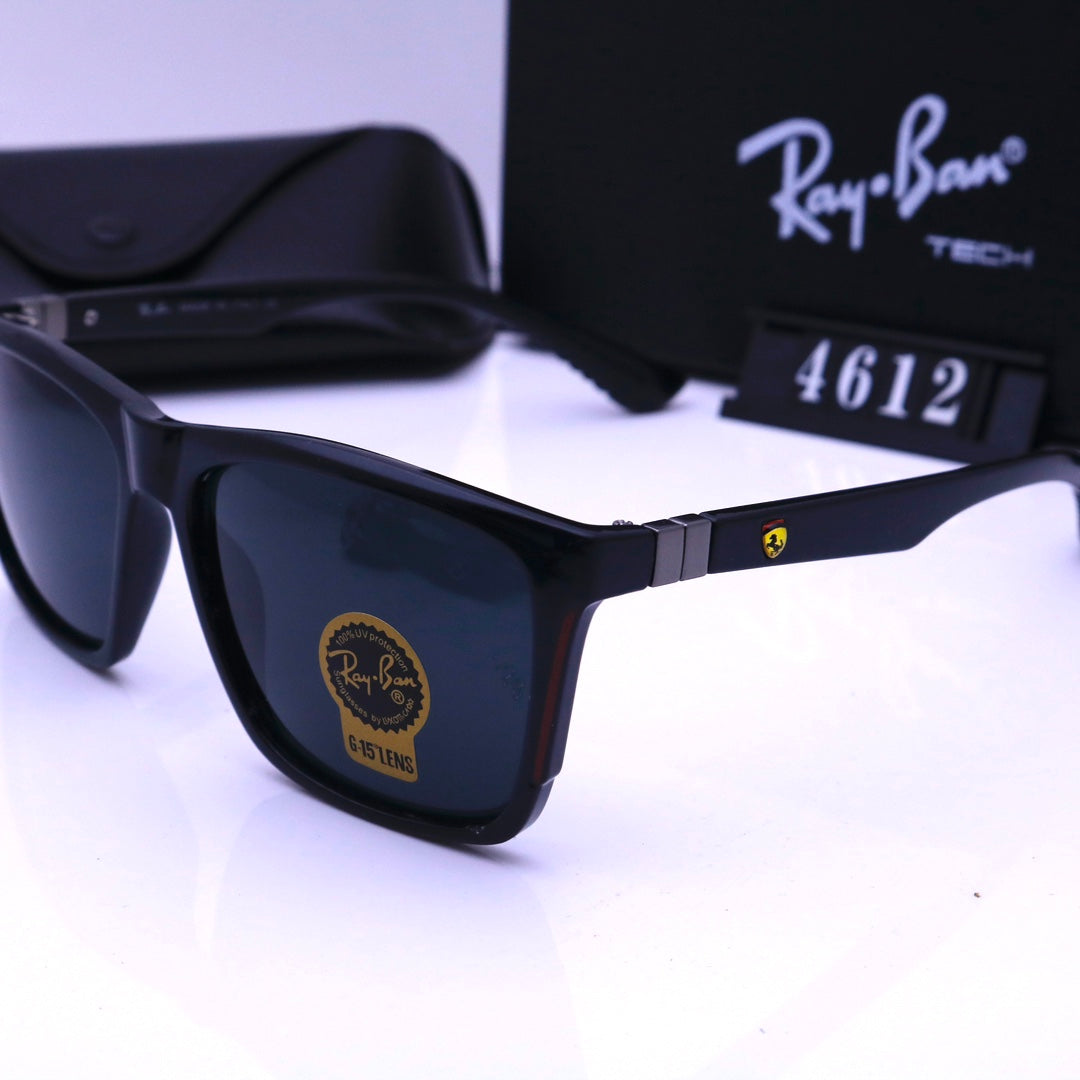 sunglasses / Model:4612
