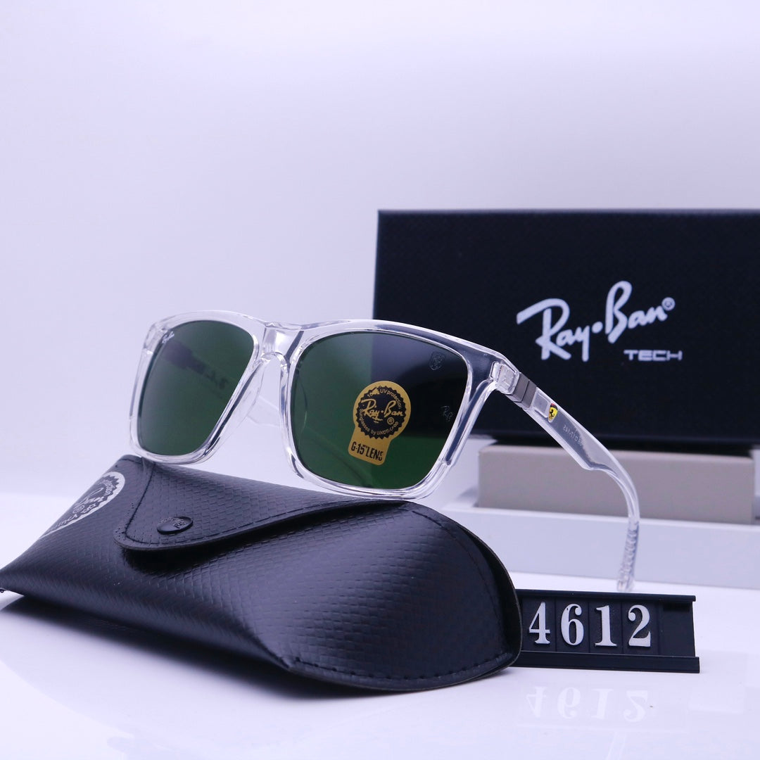 sunglasses / Model:4612