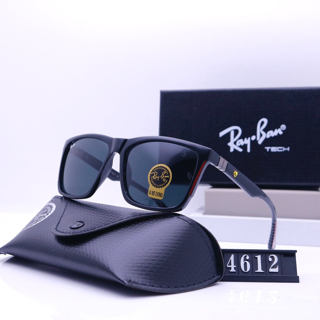 sunglasses / Model:4612