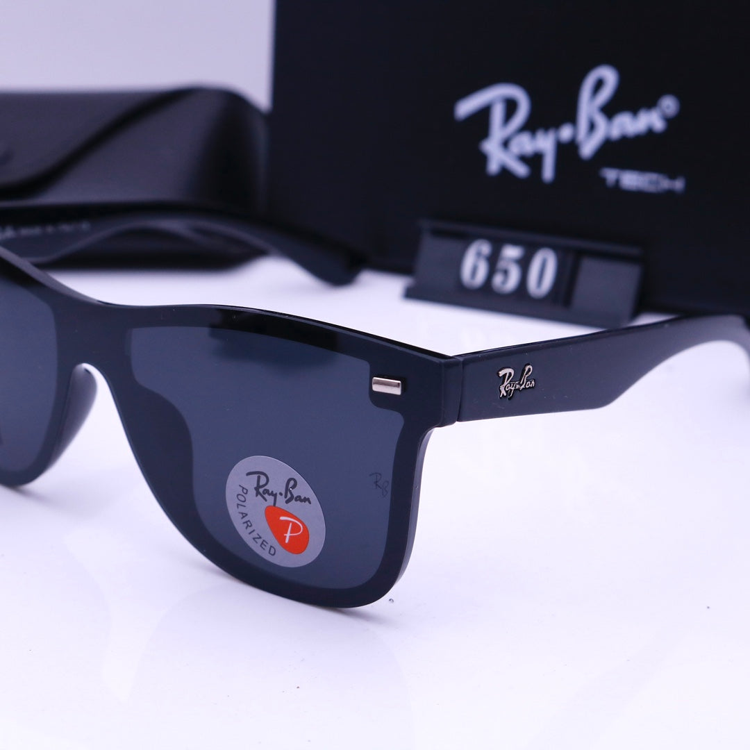 sunglasses / Model:650