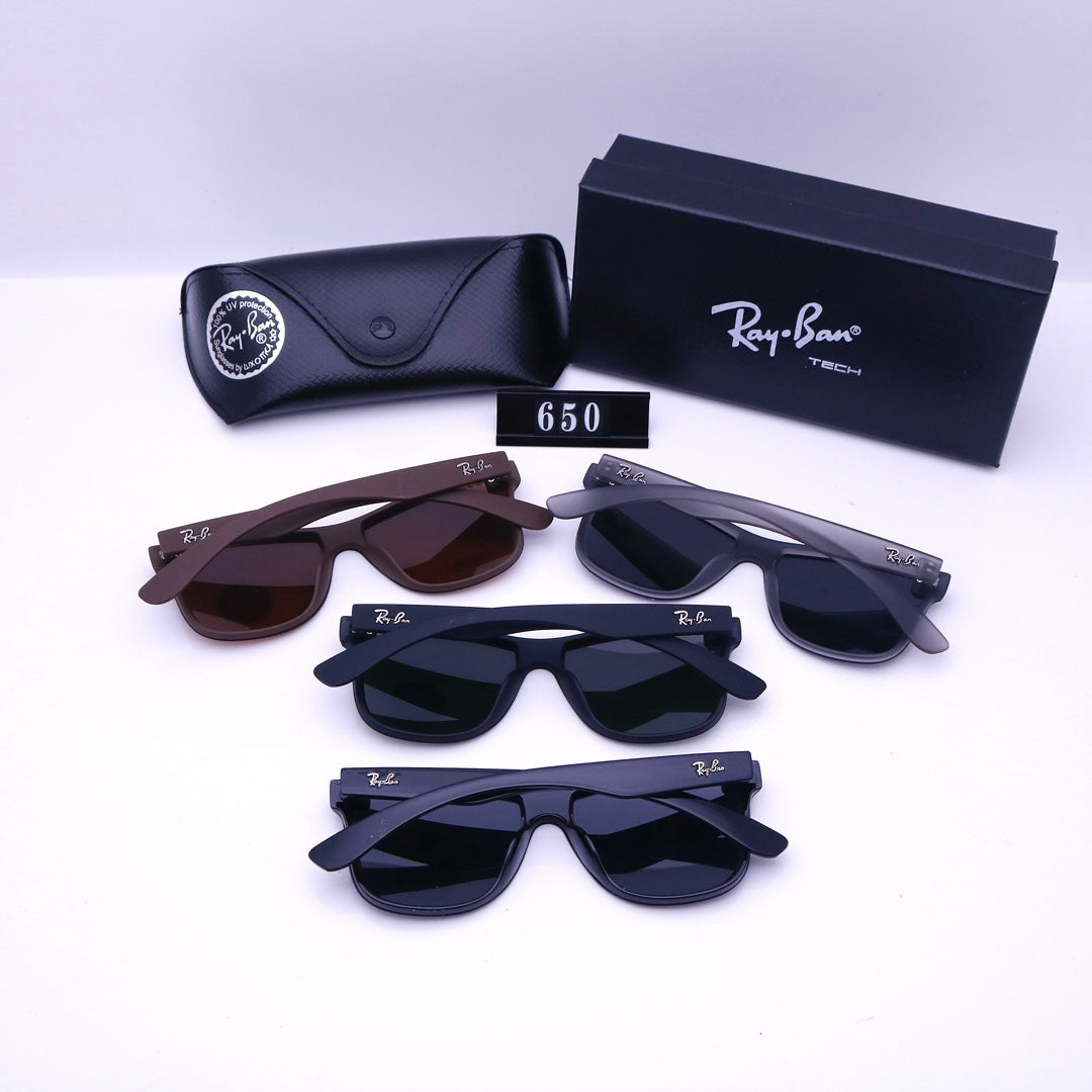 sunglasses / Model:650