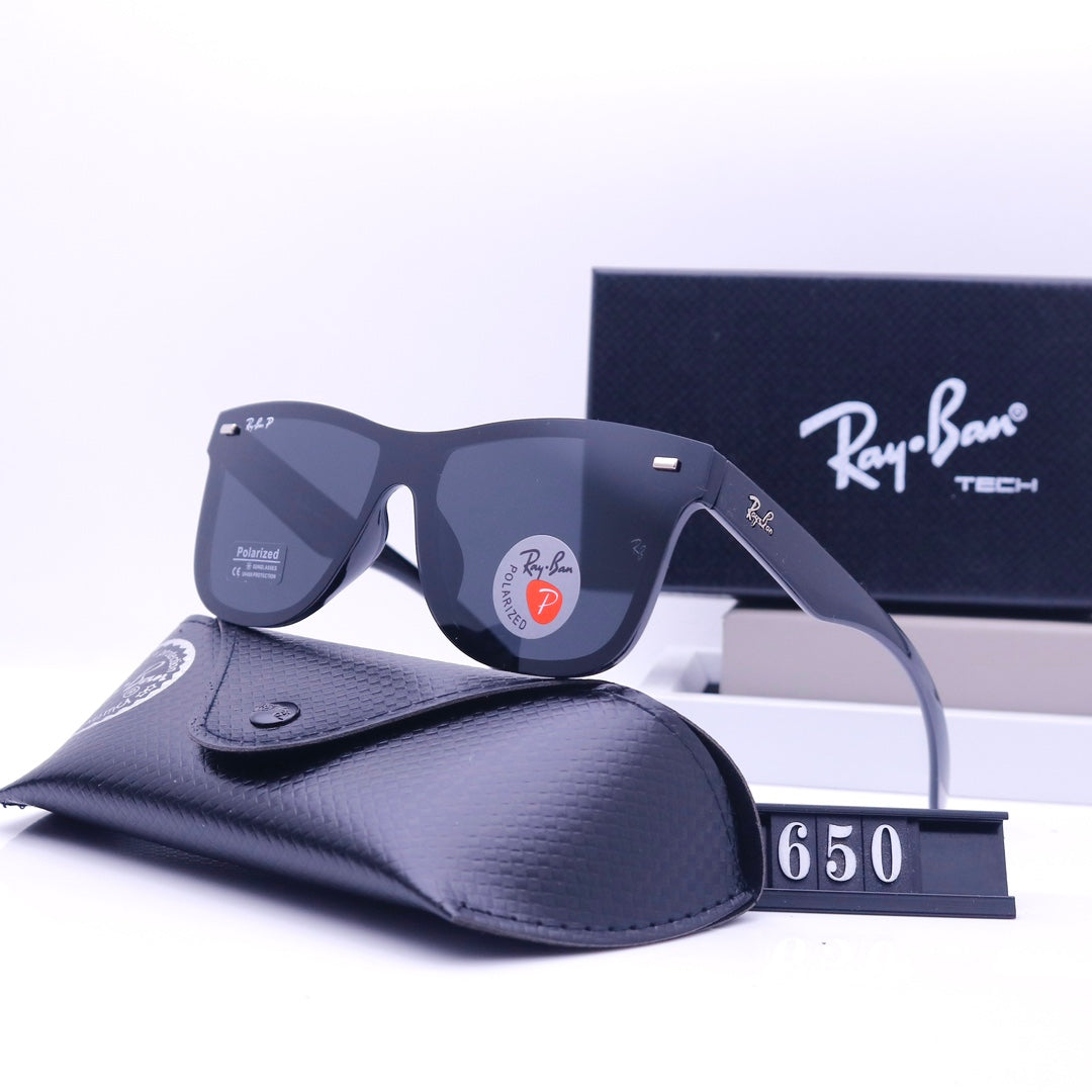 sunglasses / Model:650