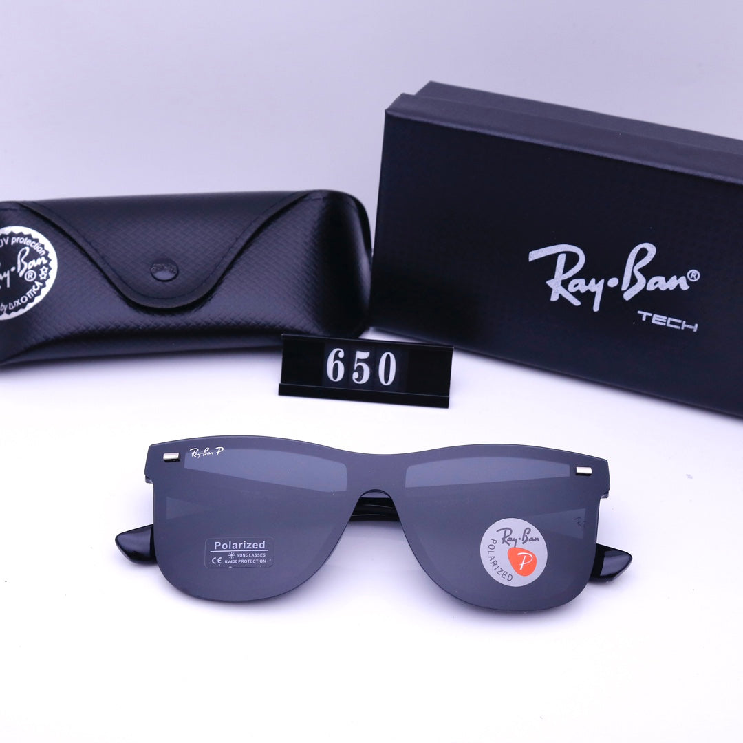 sunglasses / Model:650