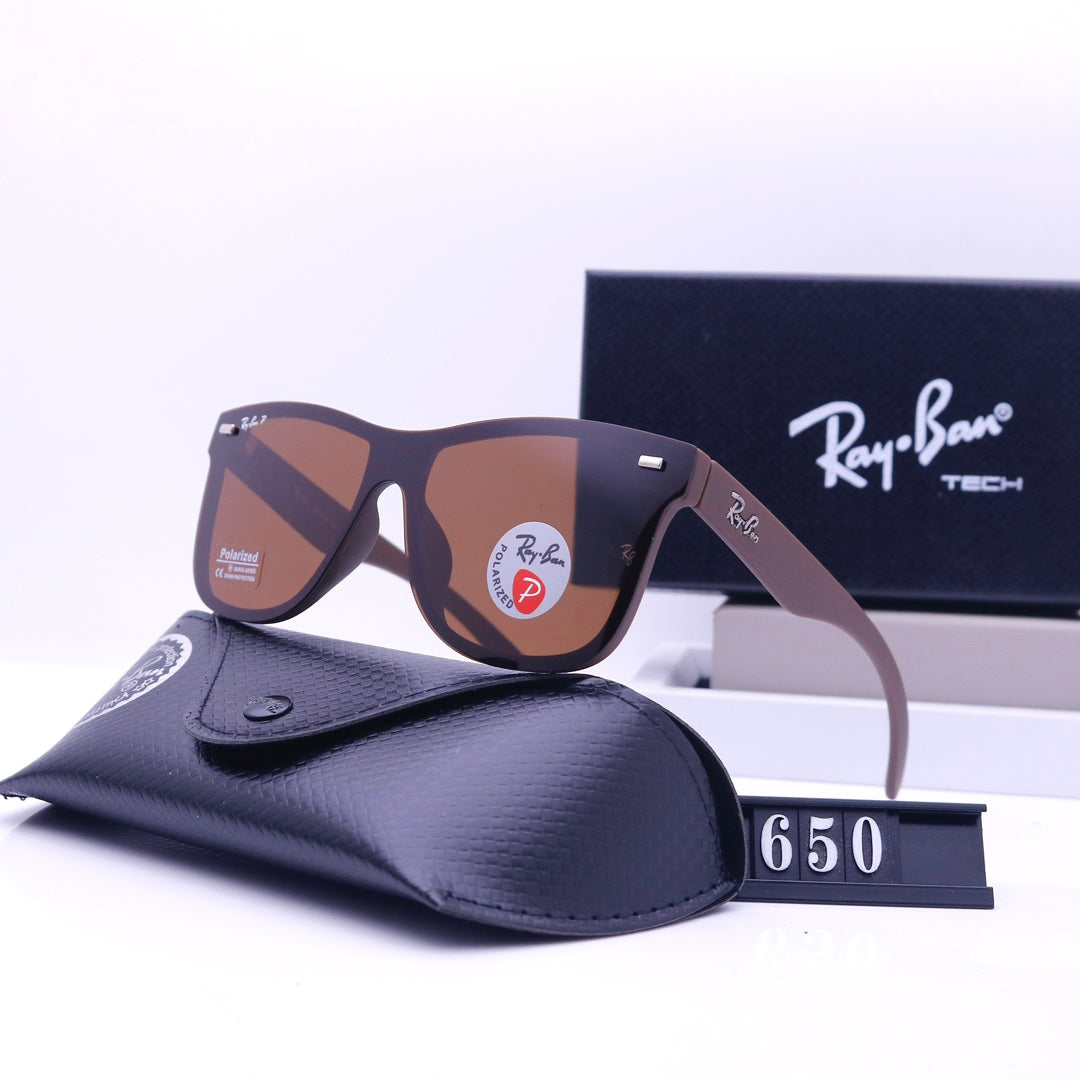 sunglasses / Model:650