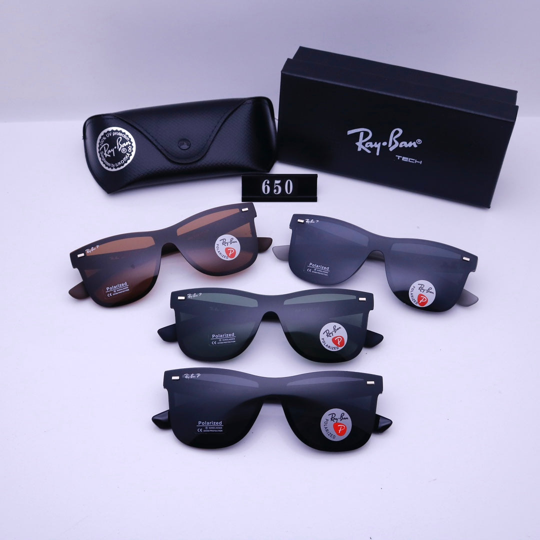 sunglasses / Model:650