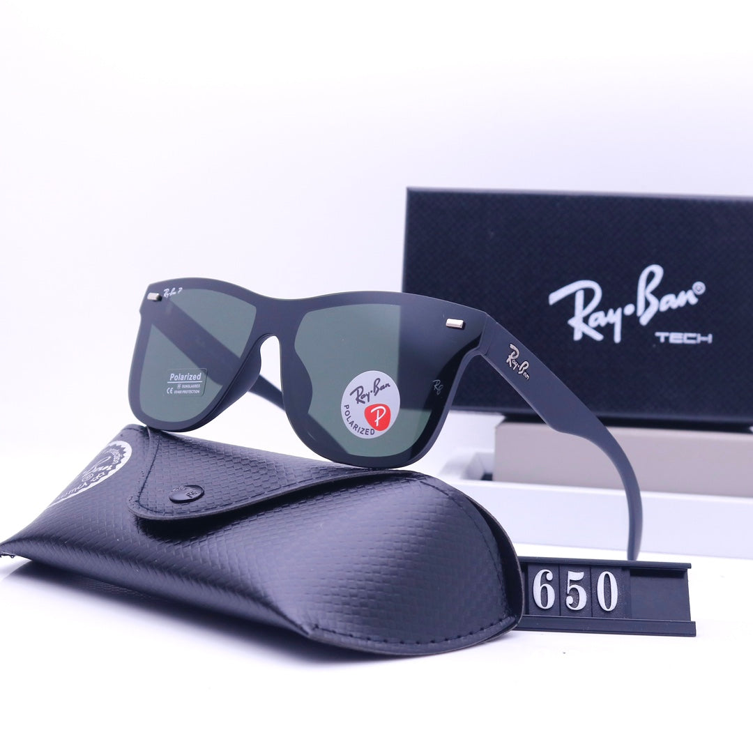sunglasses / Model:650