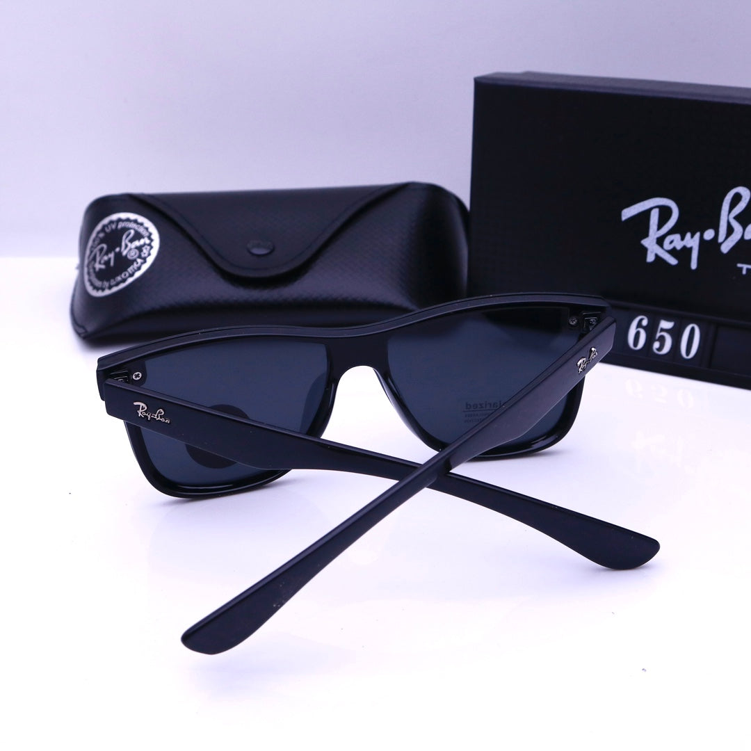 sunglasses / Model:650