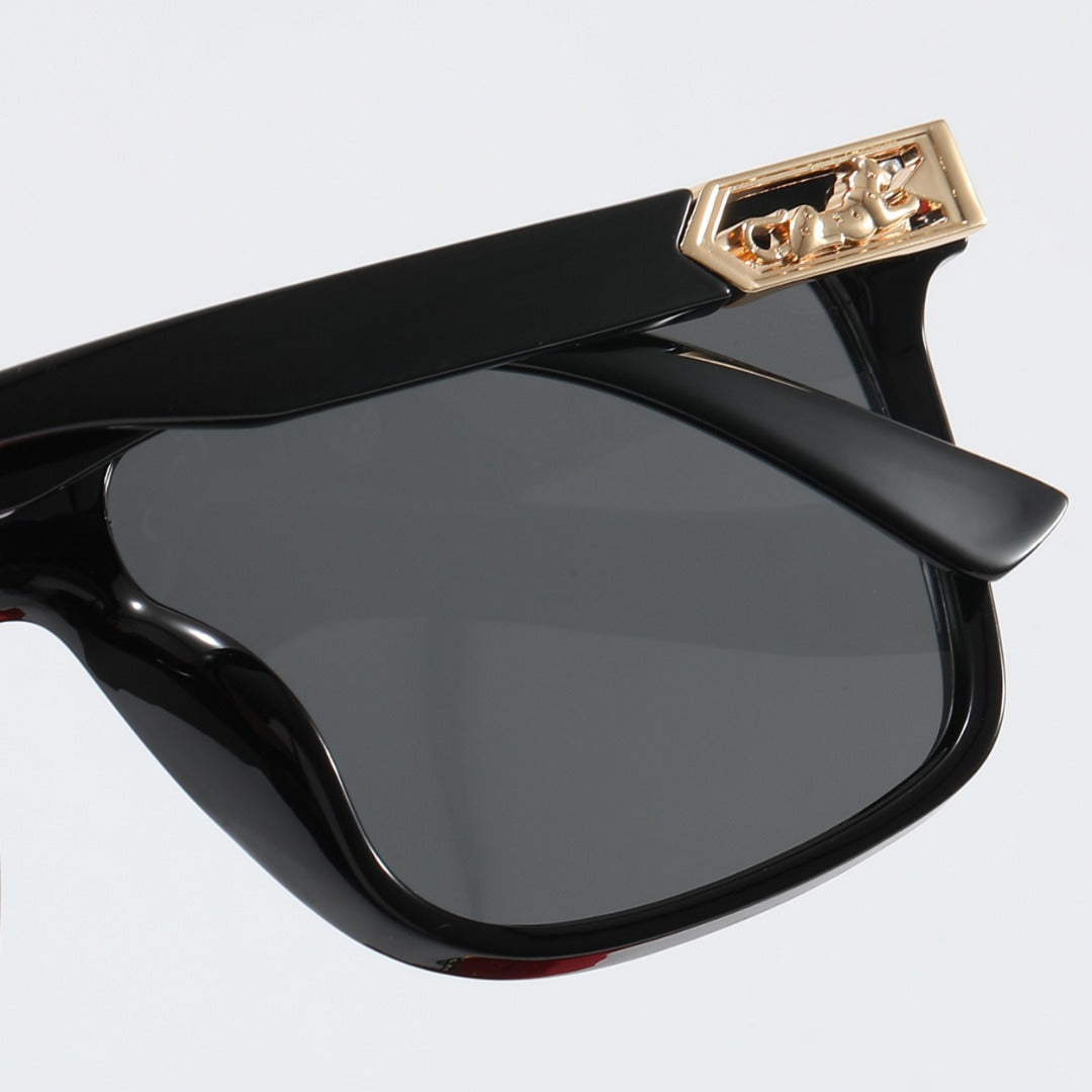 sunglasses / model:C82006