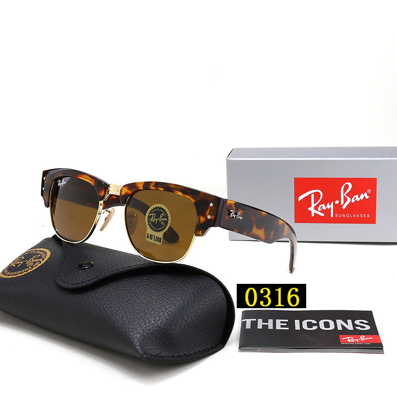 sunglasses / Model: 0316