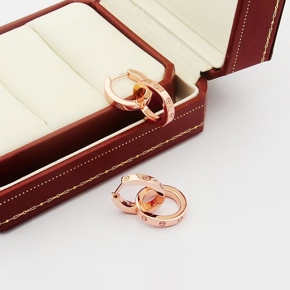 Jewelry/earrings/Model: H37