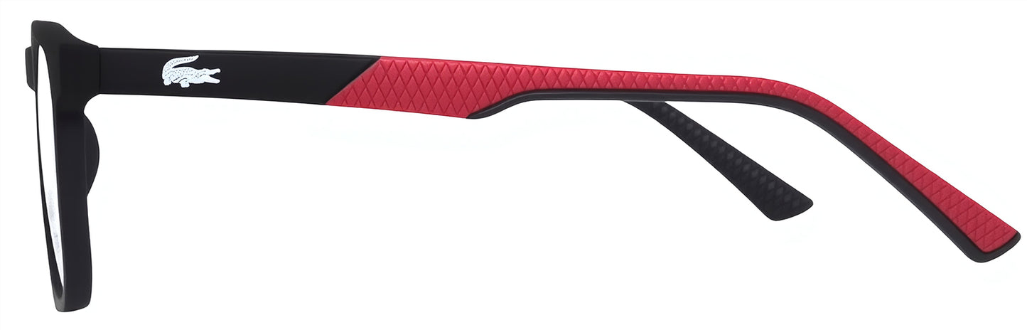 Sunglasses/model:2502