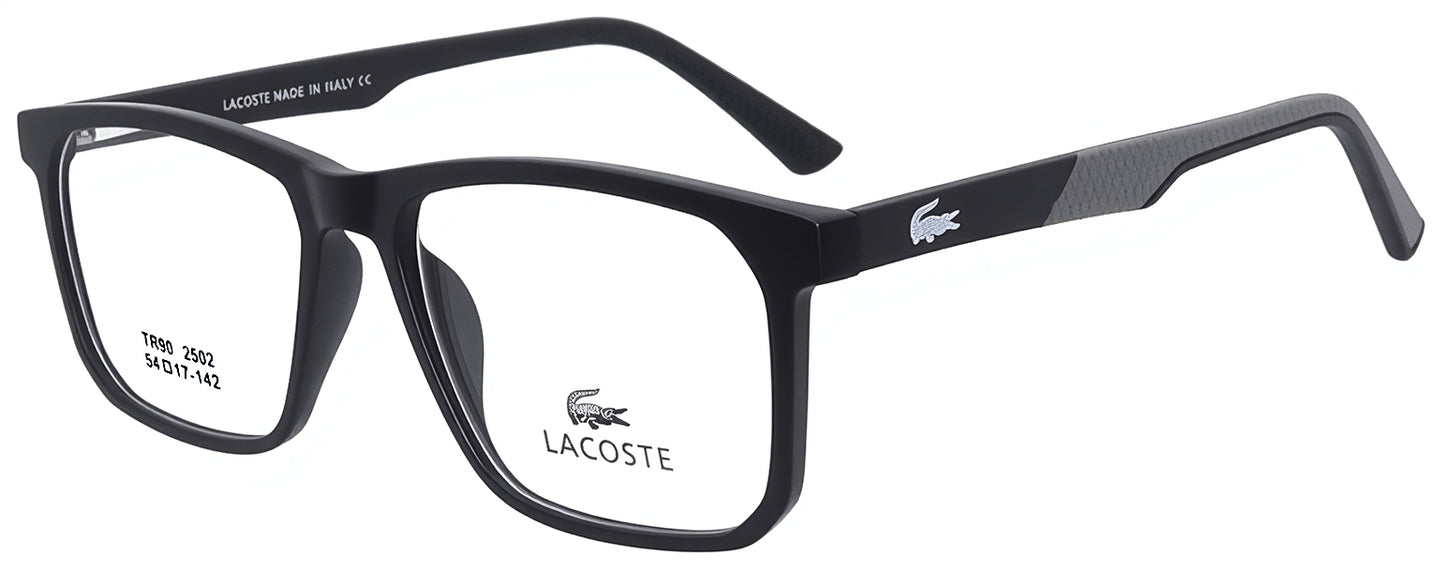 Sunglasses/model:2502